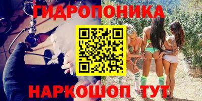 apvp Лесосибирск