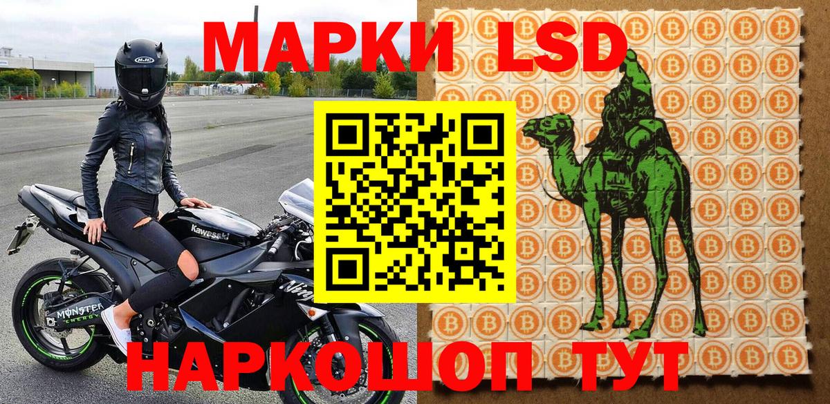 Марки N-bome  Марки 25I-NBOMe 1,5мг  Вход с VPN  Елец 