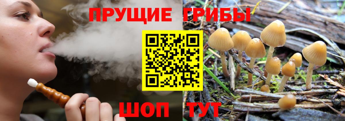 магазин продажи наркотиков  Вход с VPN  Елец  Галлюциногенные грибы прущие грибы  Галлюциногенные грибы прущие грибы 